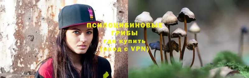 гидра как зайти  Заполярный  Псилоцибиновые грибы MAGIC MUSHROOMS 